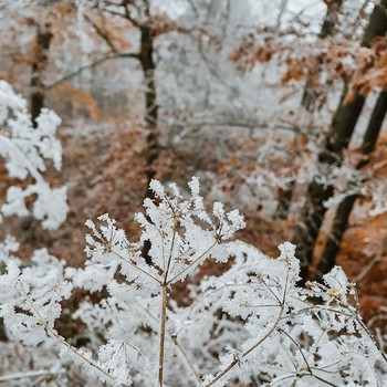 Prisluhniti sebi <em>Foto: Klara Šulek</em>